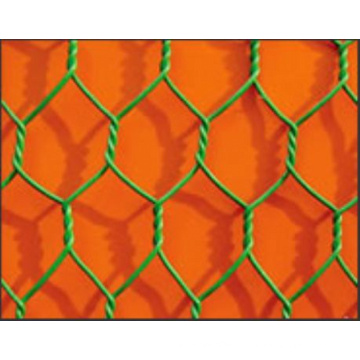 Hex hexagonale en PVC. Wire Mesh (HDH11)